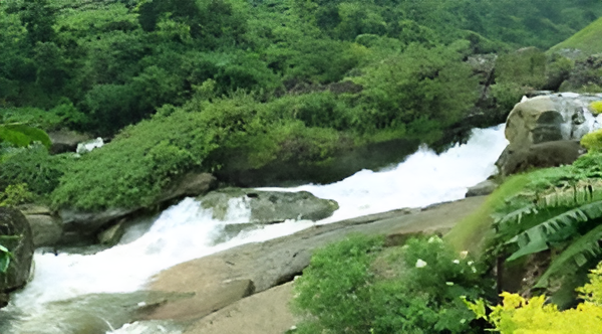 Attukad Waterfalls