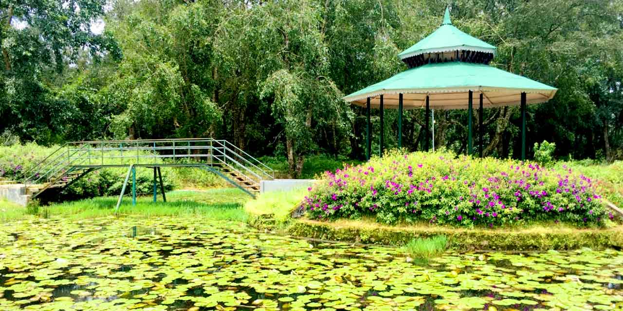 Tourists enjoying nature trails and boating at Blossom Park