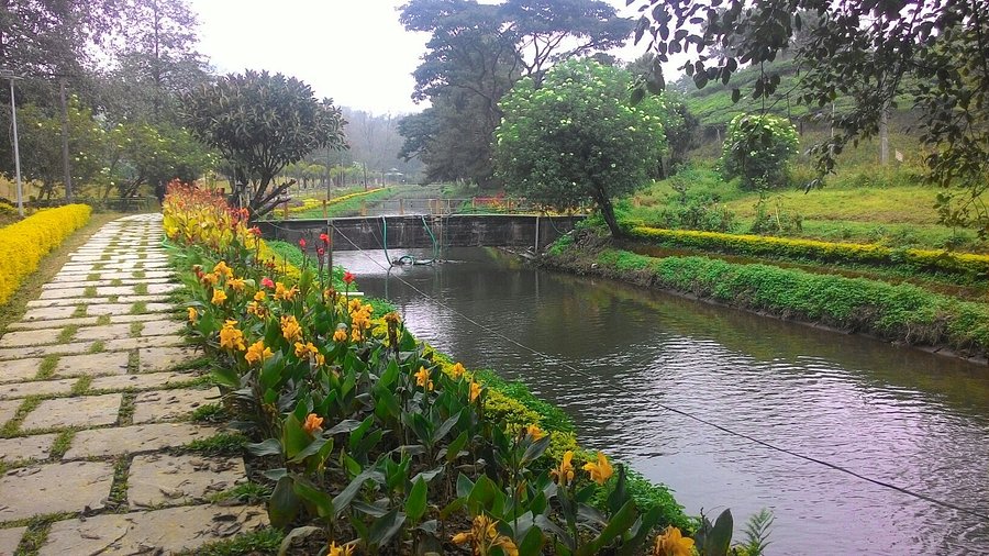 Tree house attraction in Blossom International Park, Kerala