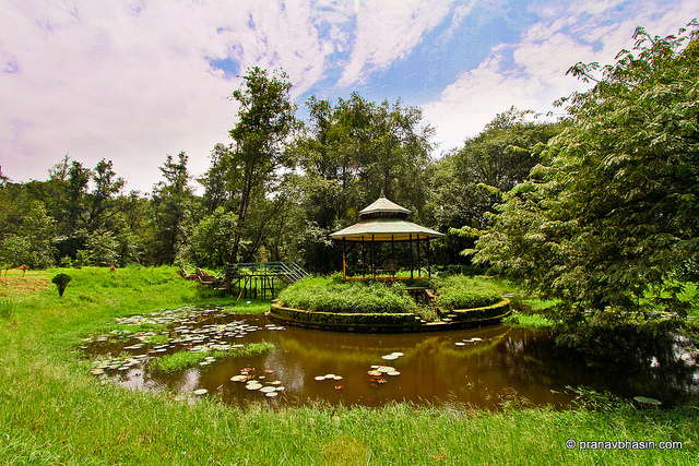 Scenic family picnic spot at Blossom Hydel Park near Munnar