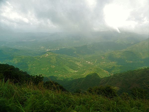 Cardamom Hills Idukki unique and interesting tourist destination 