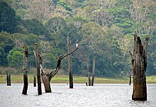 Cardamom Hills Idukki Transpotation
