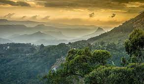 Cardamom Hills Idukki attractions