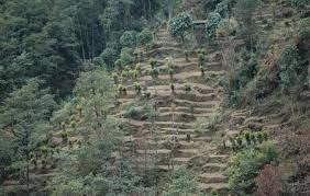 Cardamom Hills Idukki history