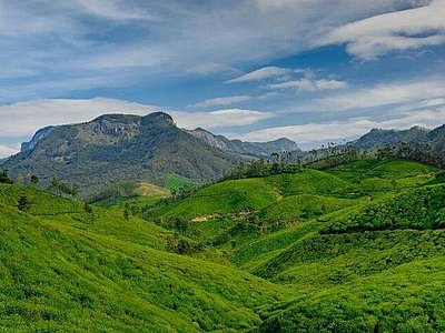 chathurangapara Idukki lush green