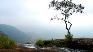 Chellarkovil