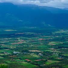 Lush spice plantations in Chellarkovil village near Thekkady