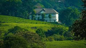 Tea plantations and rolling hills of Chithirapuram, Kerala