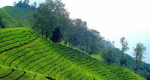 Scenic view of Chithirapuram hill station in Idukki