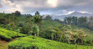 Misty landscapes and heritage charm of Chithirapuram