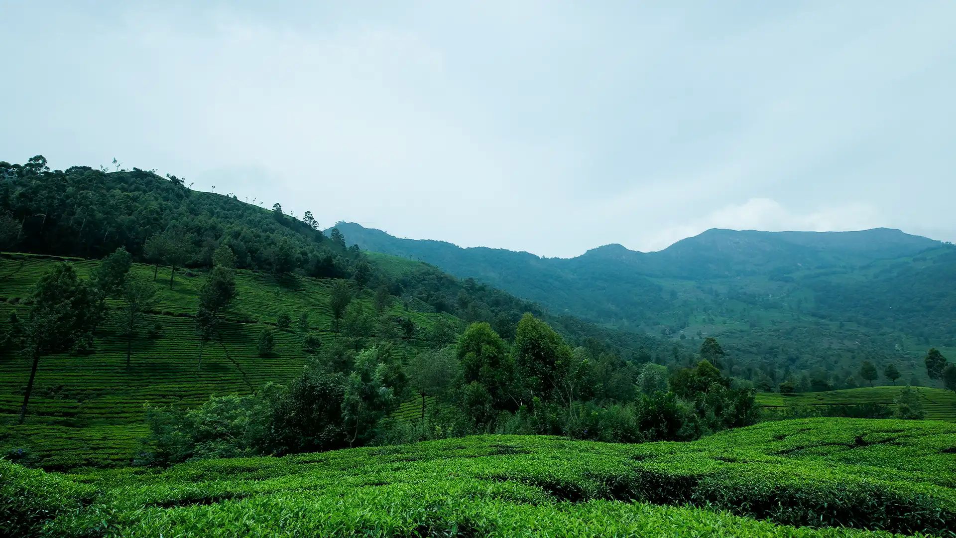 Devikulam Idukki