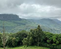 Misty morning view of Kanthalloor Western Ghats