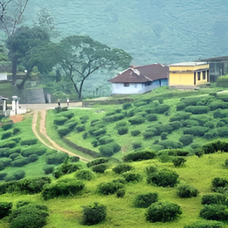 Road to Kumily with Western Ghats backdrop