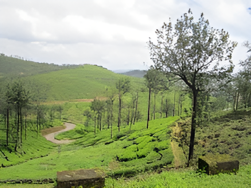 Scenic view of Kuttikanam hill station in Idukki