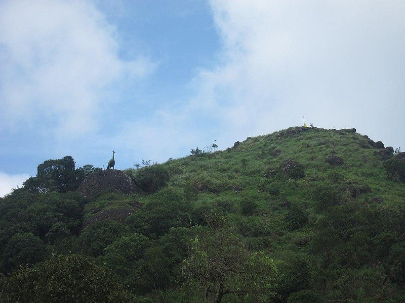 Devotees at Murugan Mala in Vagamon