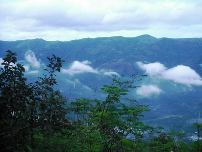nadukani Idukki green lush