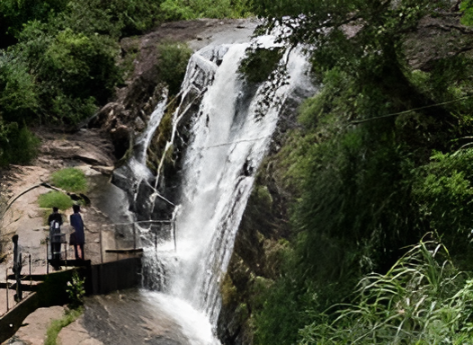 Scenic view of Nyayamakad waterfall surrounded by lush greenery