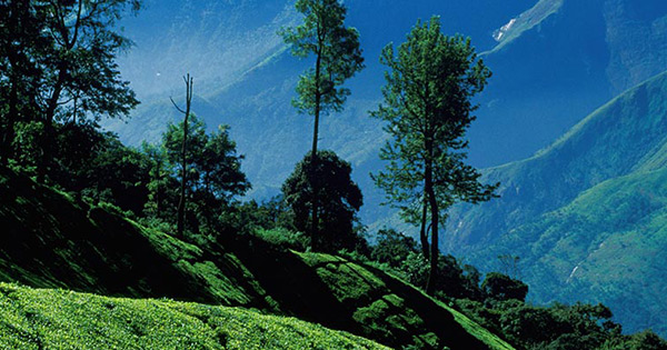 Palkulamedu