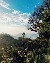palkulamedu Idukki lush green