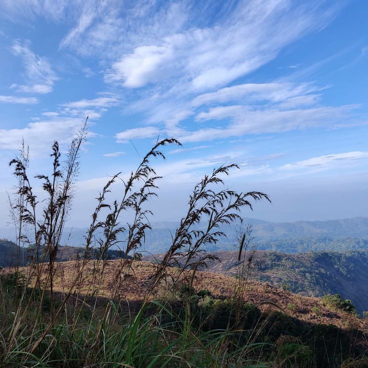 palkulamedu Idukki rock