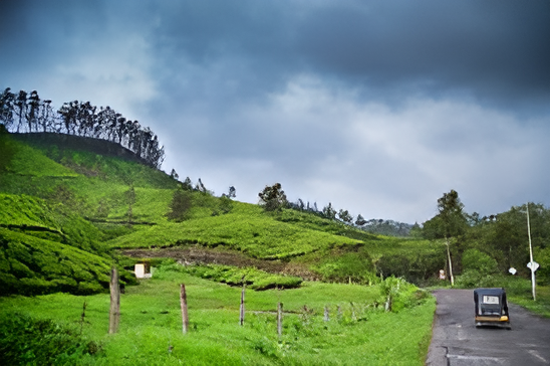 Pallivasal