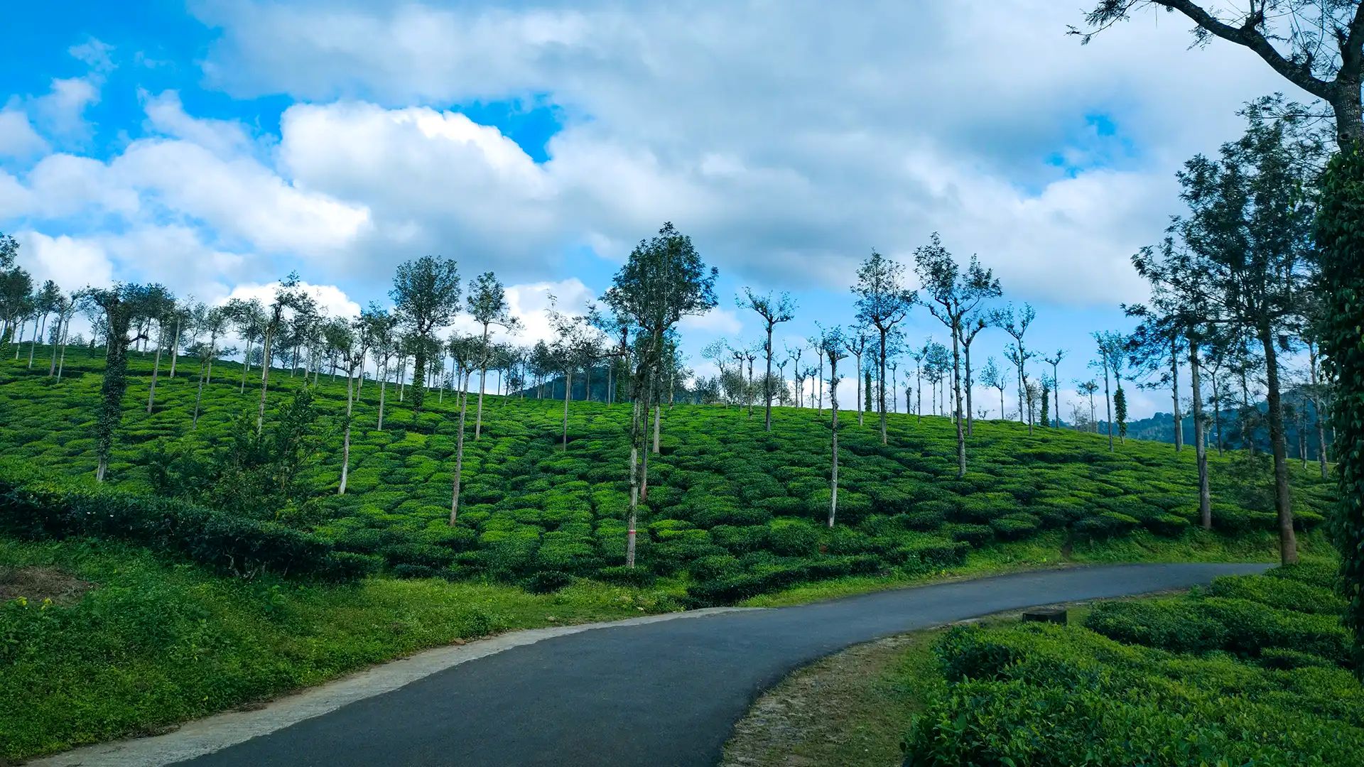Peerumedu Idukki