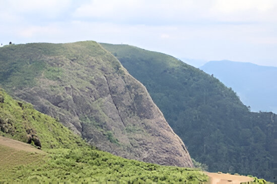 Misty hills and pine forests of Peermade