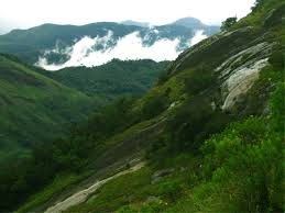 Tourists exploring Rajamala viewpoint near Munnar, Kerala