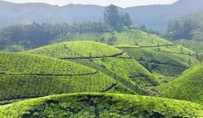 Suryanelli Idukki
