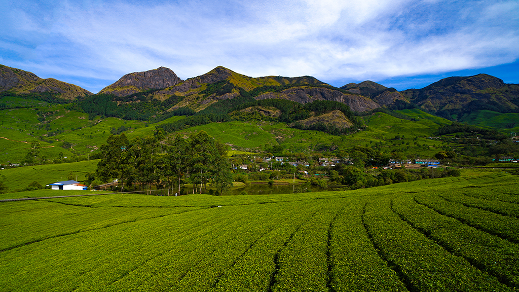 Scenic view of Anayirangal Dam from Suryanelli hills