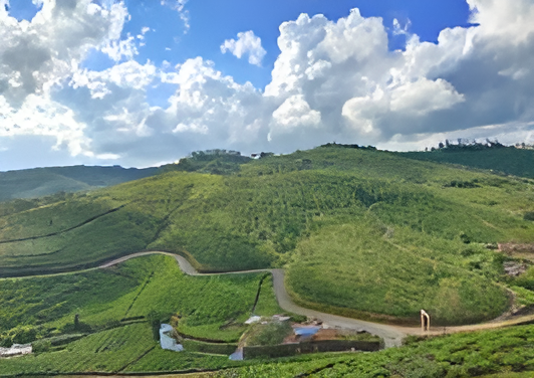 Thrissanku Hills 