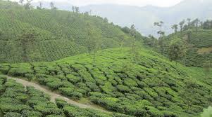 Thrissanku Hills hilltop viewpoint in Idukki district