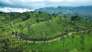 Scenic landscape of Thrissanku Hills surrounded by Western Ghats
