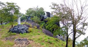 Lush green plantations surrounding Thumpachi Calveri viewpoint