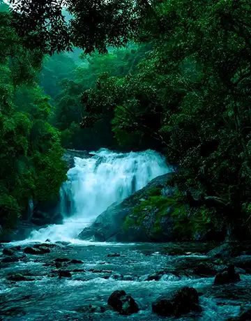 Valanjanganam Waterfalls Idukki