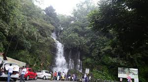 Lush green forest around Valanjanganam Waterfalls