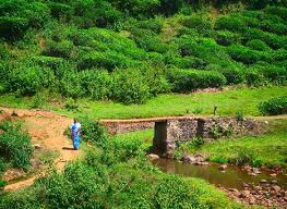 Hill town of Vandiperiyar surrounded by plantations and misty hills